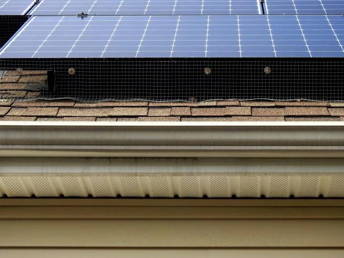 ¿Son realmente necesarios las «Critter Guards» o salva aves?  Cuatro mejoras de cualquier instalación solar que debes considerar