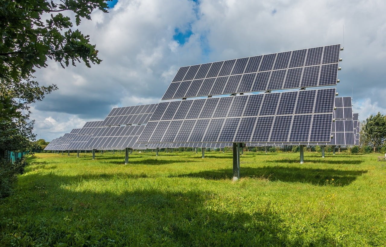Paneles solares y árboles